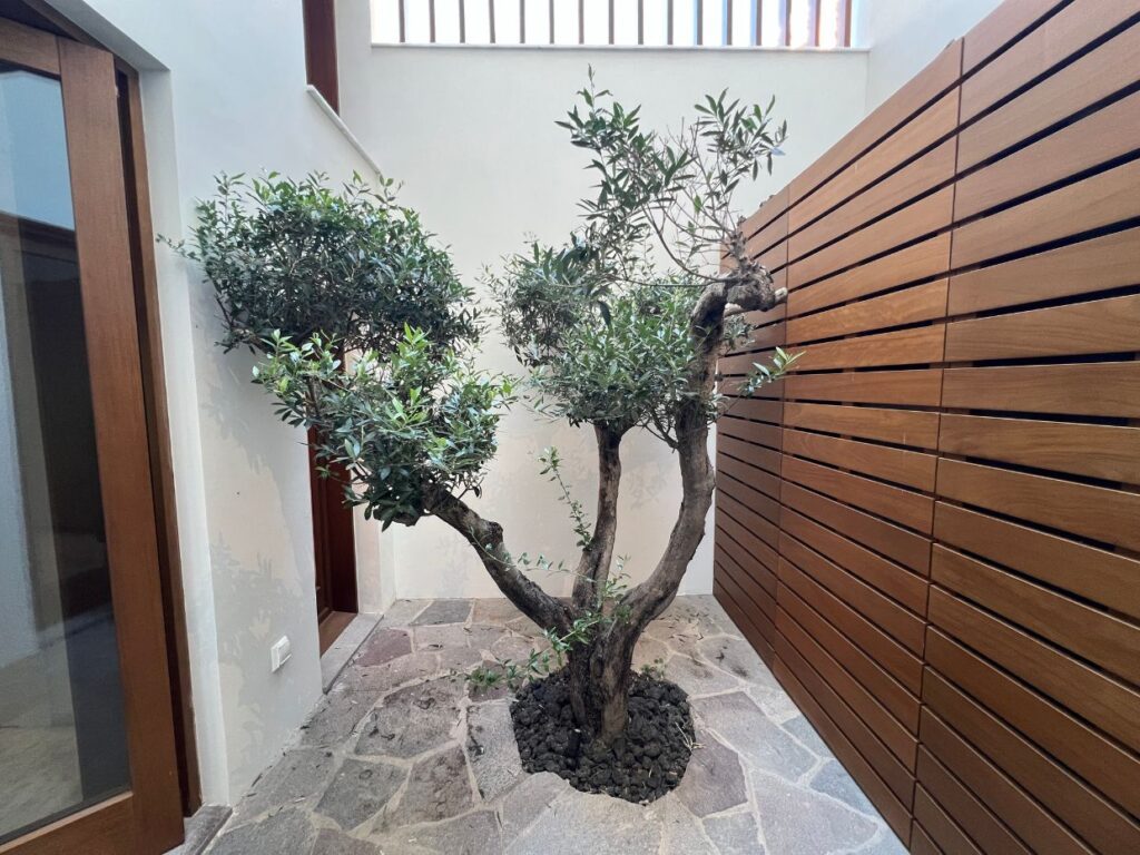 Vivienda Unifamiliar en Santa Cruz de Tenerife